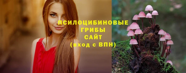 ALPHA-PVP Белокуриха